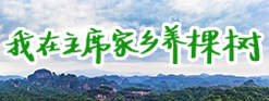 我在主席家乡养棵树