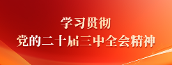 学习贯彻党的二十届三中全会精神